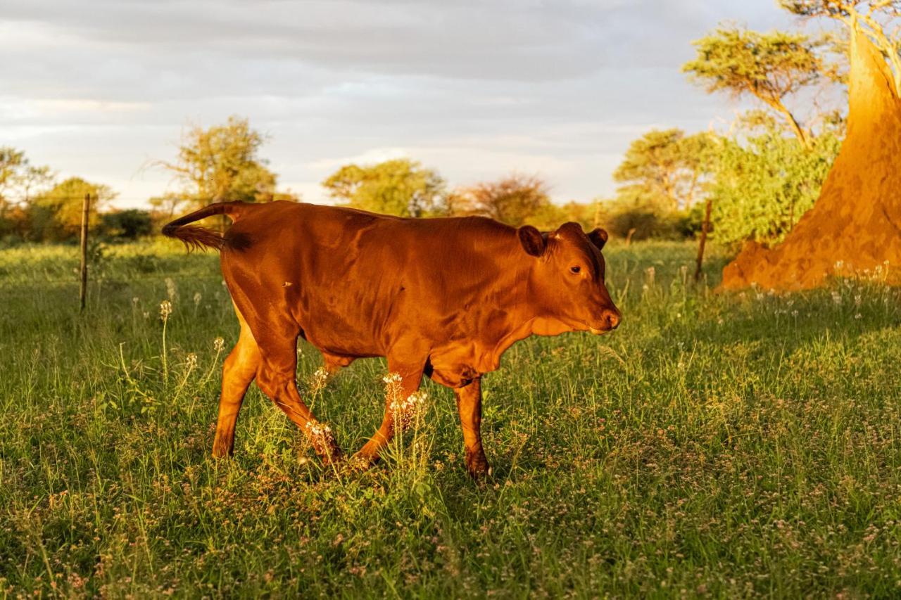 אוקחנג'ה Farmstay Okakeua מראה חיצוני תמונה